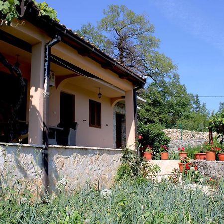 Holiday Home Gazevic Virpazar Exteriör bild